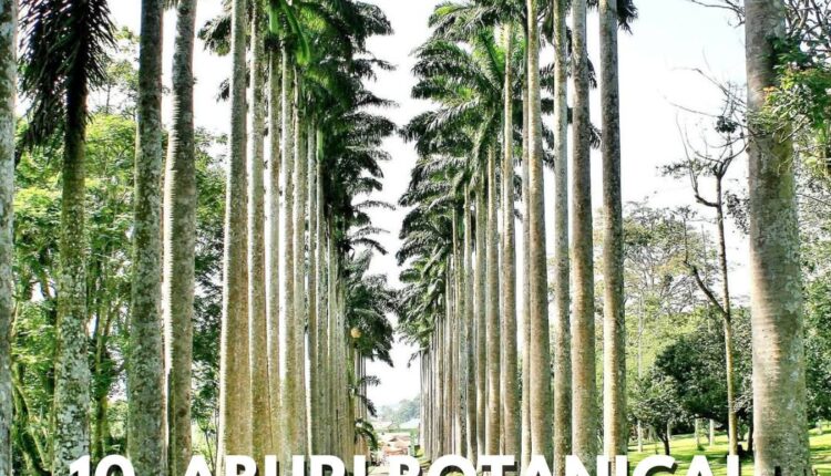 Aburi Botanical Gardens